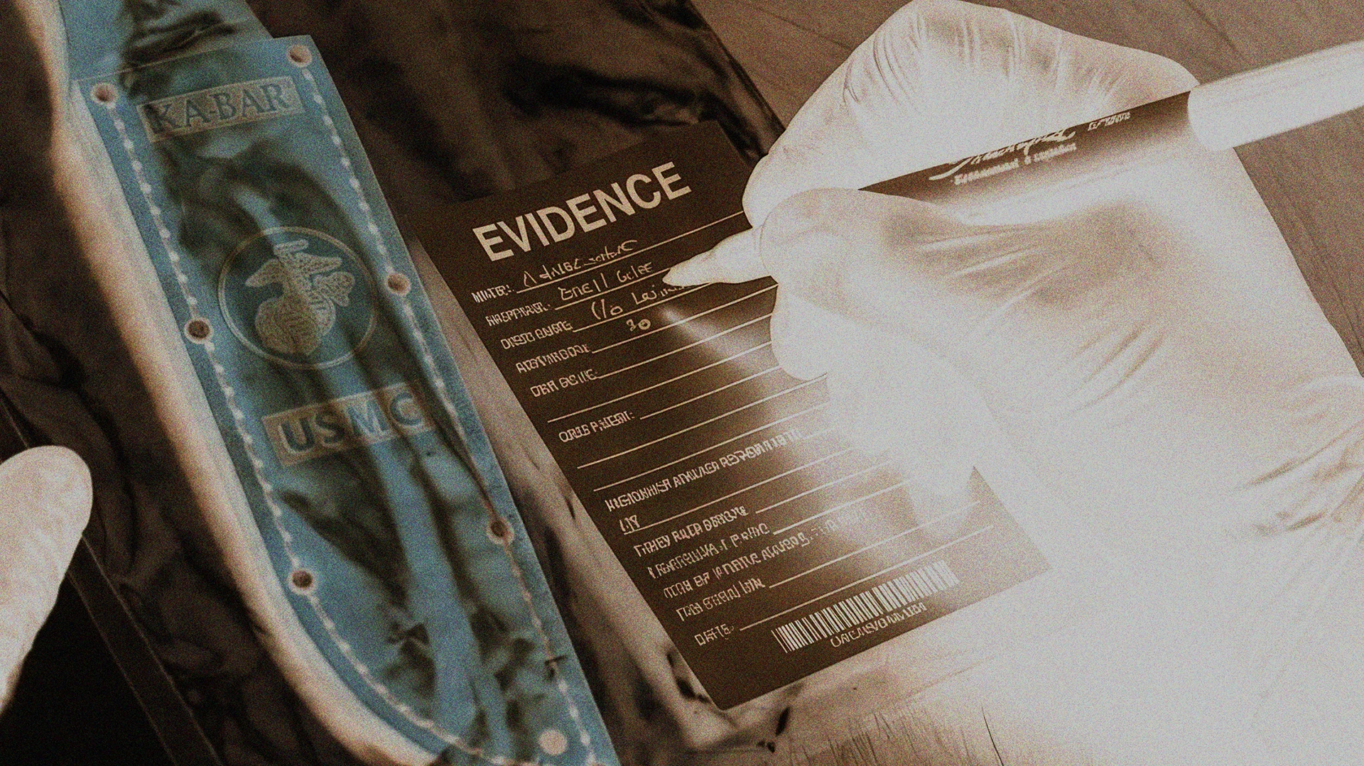 Evidence item 4